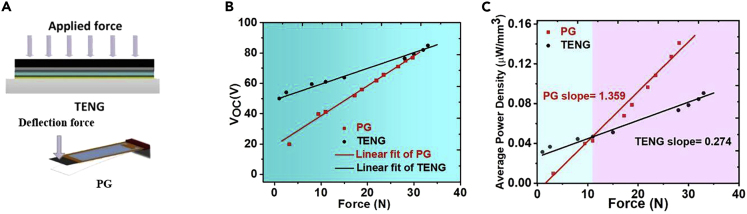 Figure 3