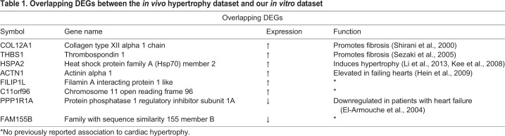 graphic file with name biolopen-9-052381-i1.jpg