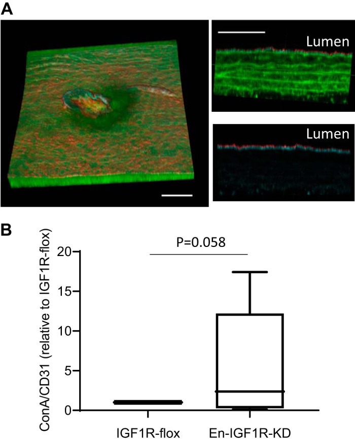 Fig. 7.