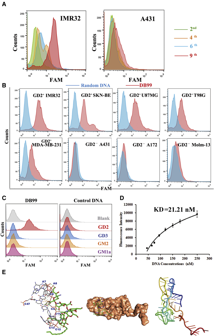 Figure 2