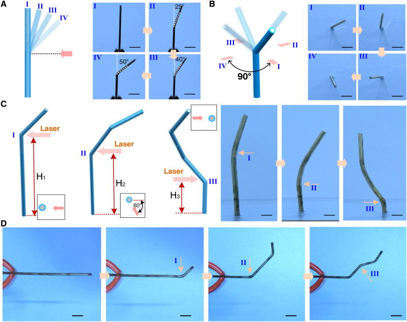 Fig. 3.