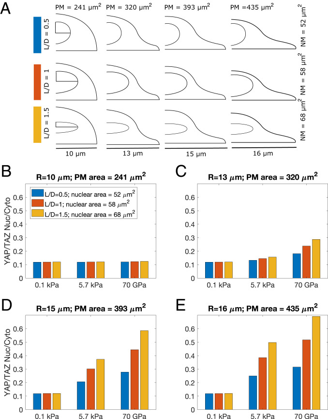 Fig. 7.