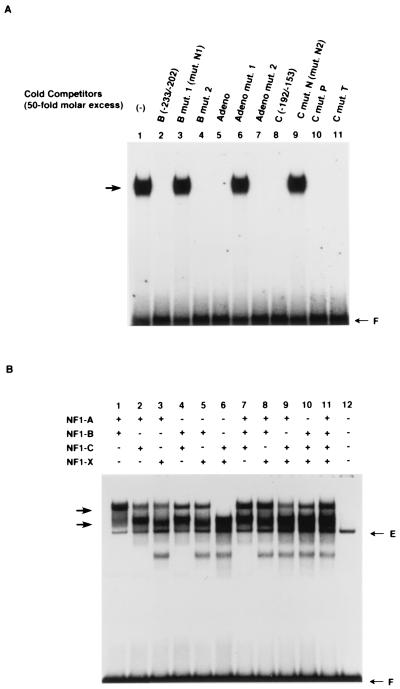 FIG. 6