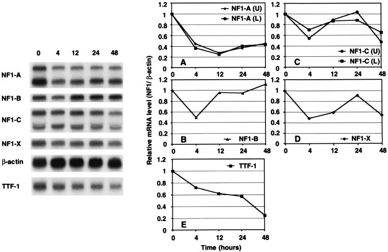 FIG. 9