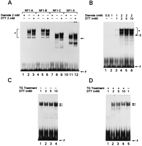 FIG. 11