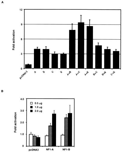 FIG. 8