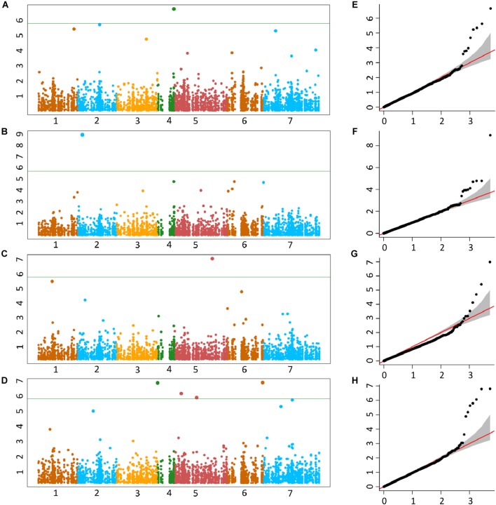 FIGURE 4