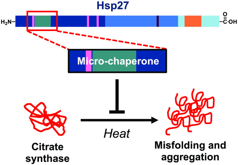 graphic file with name ml0c00609_0007.jpg