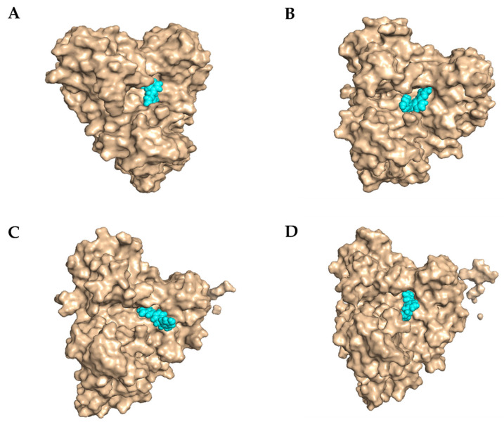 Figure 9