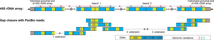 Extended Data Fig. 6