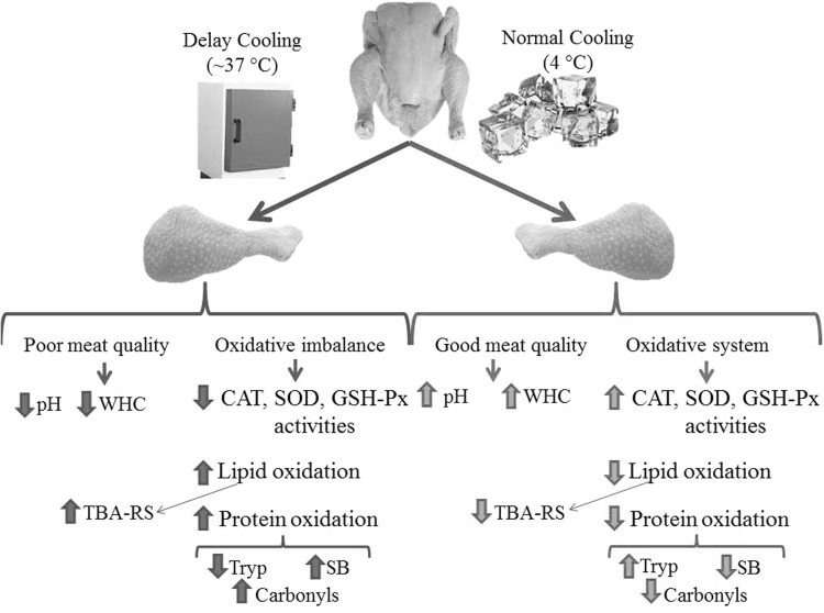 Fig. 4