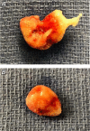 Fig. 4