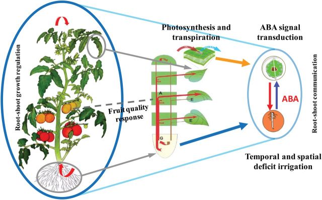 Fig. 2.