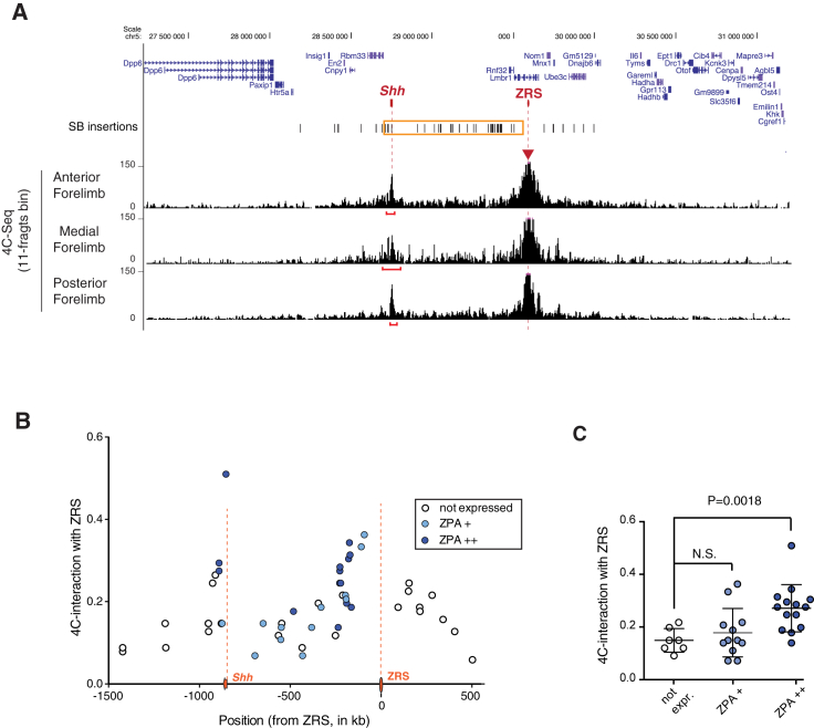 Figure 2