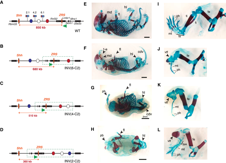 Figure 6