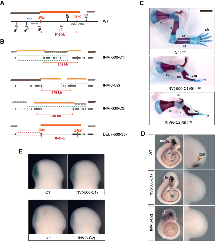 Figure 4