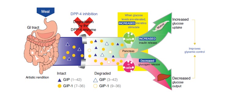 Fig. (1)