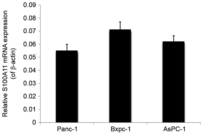 Figure 2.