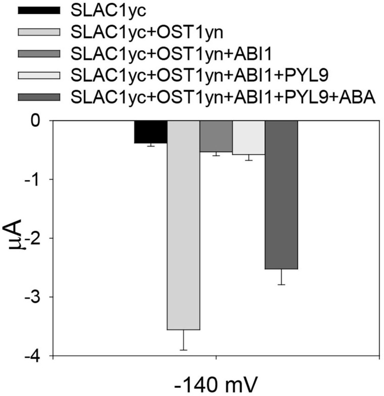 Figure 3.