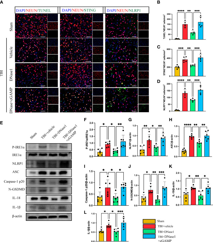 Figure 4