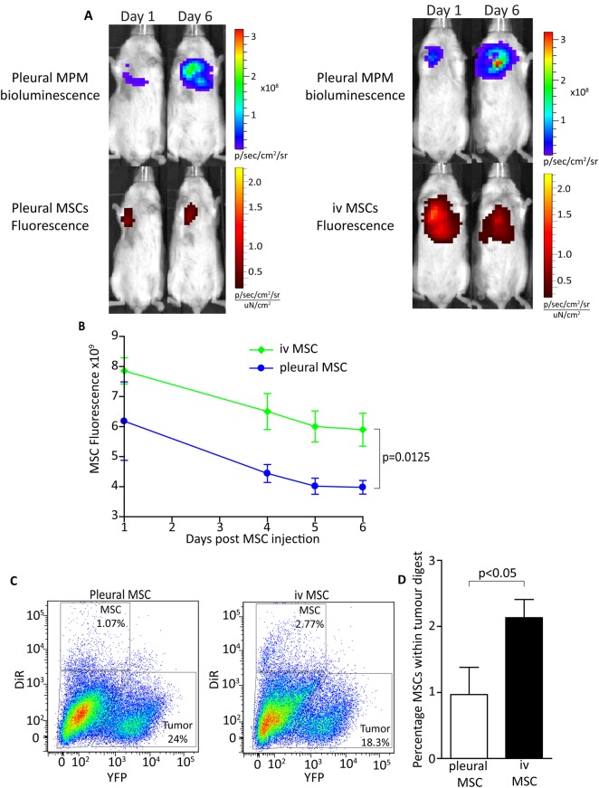 Figure 6