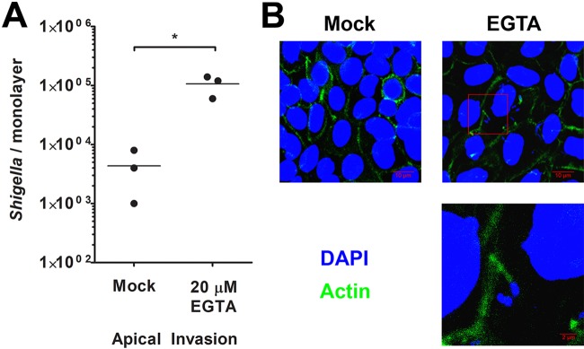 FIG 6