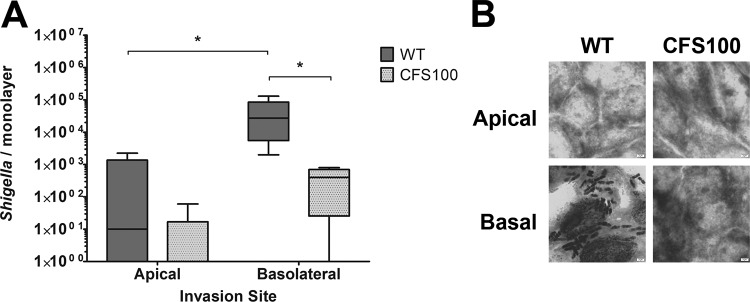 FIG 1