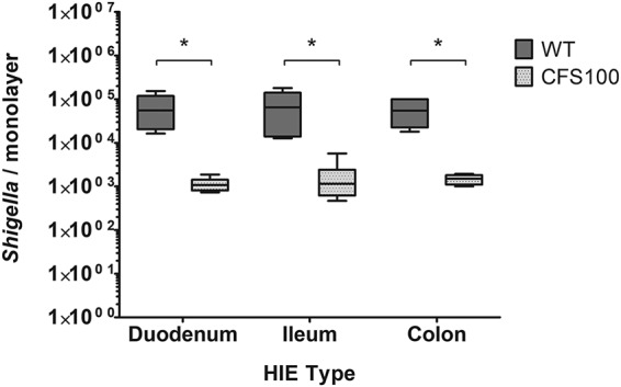 FIG 2