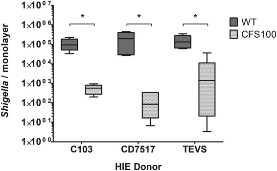 FIG 3