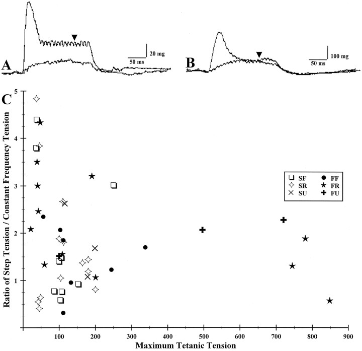 Fig. 5.