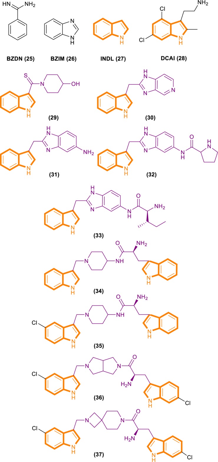 FIGURE 7