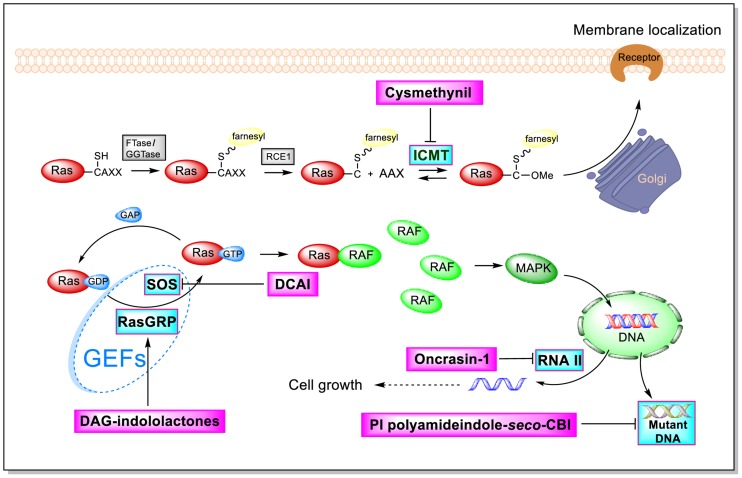 FIGURE 3