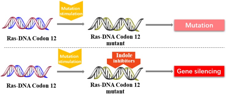 FIGURE 11