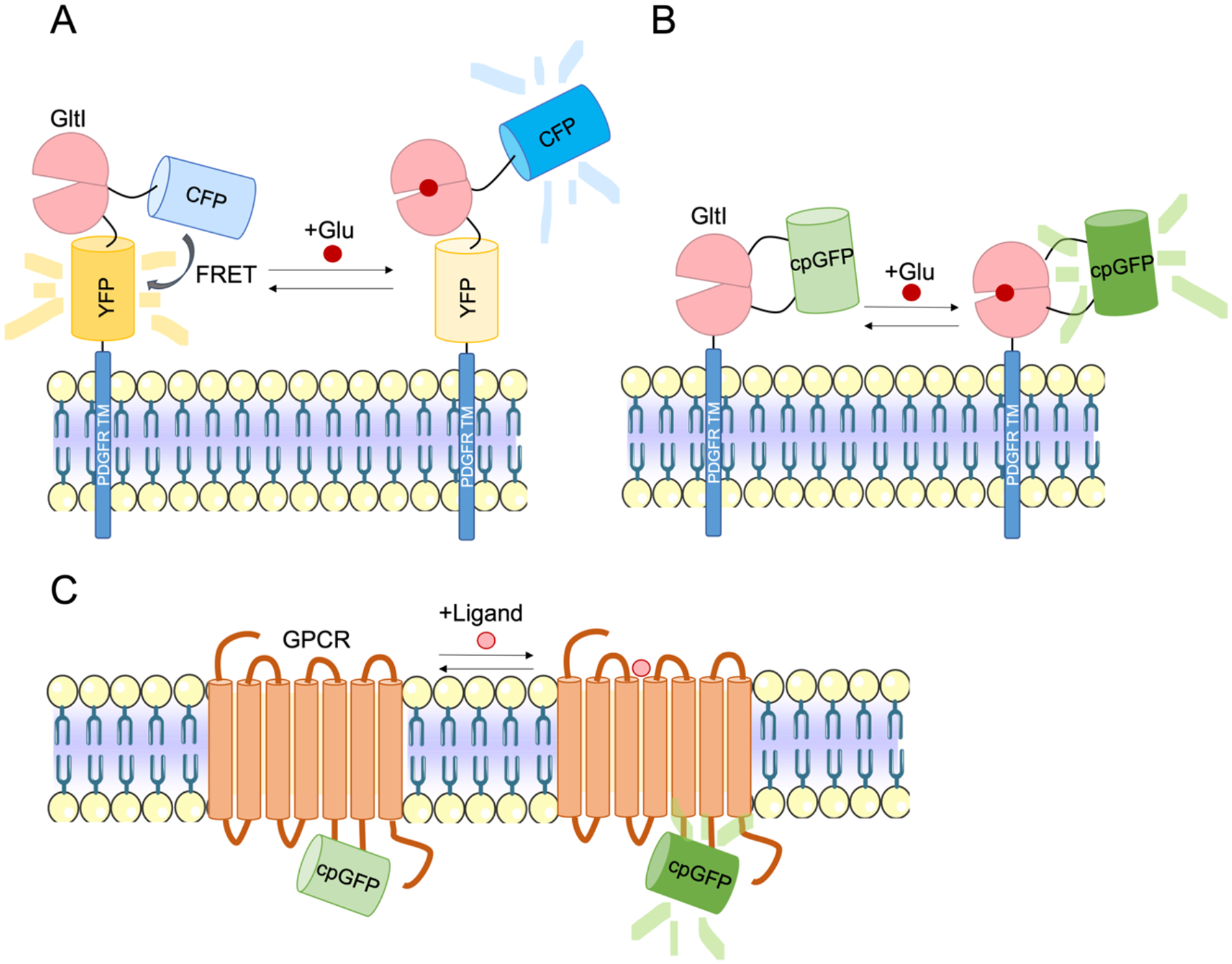 Figure 4: