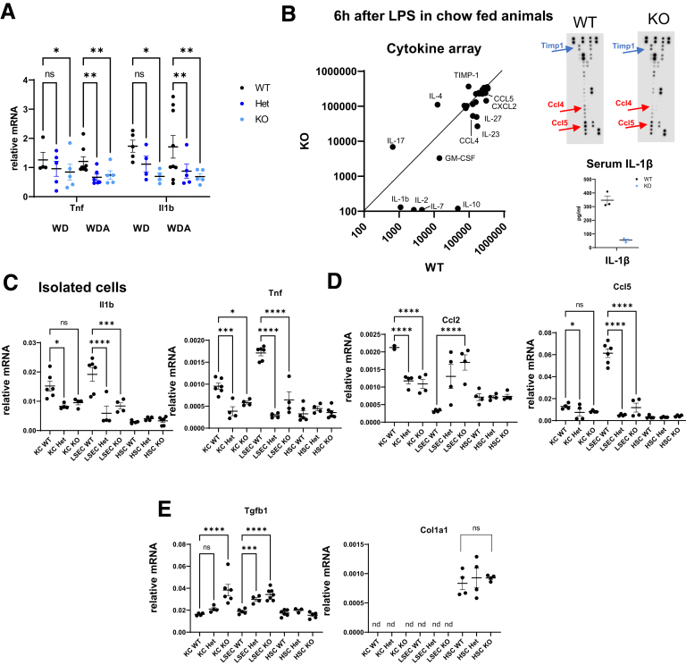 Figure 6