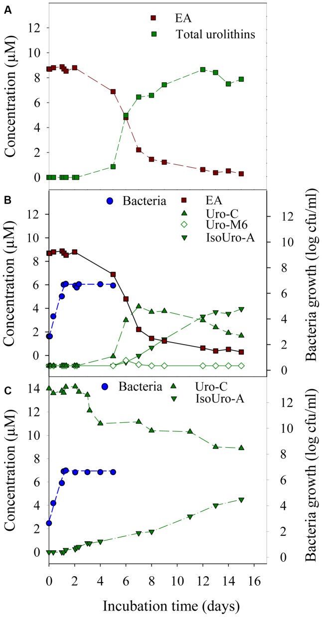 FIGURE 3