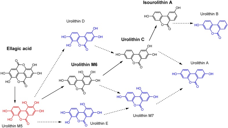 FIGURE 4