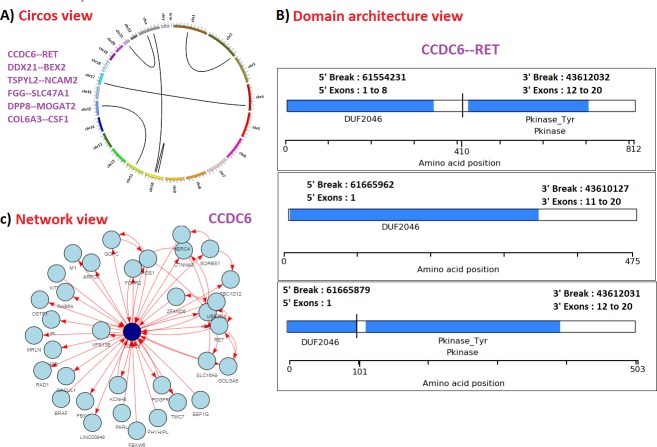 Fig 4