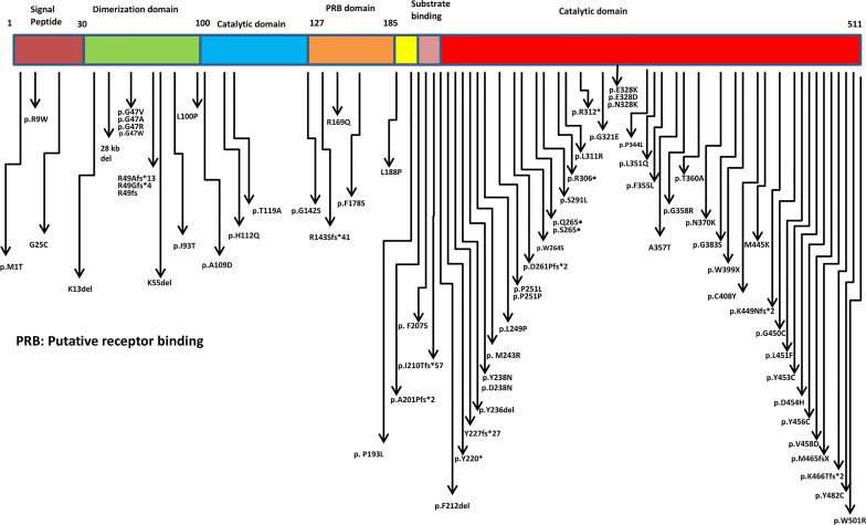 Figure 2