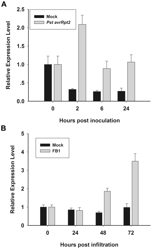 Figure 5