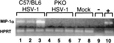 FIG. 7