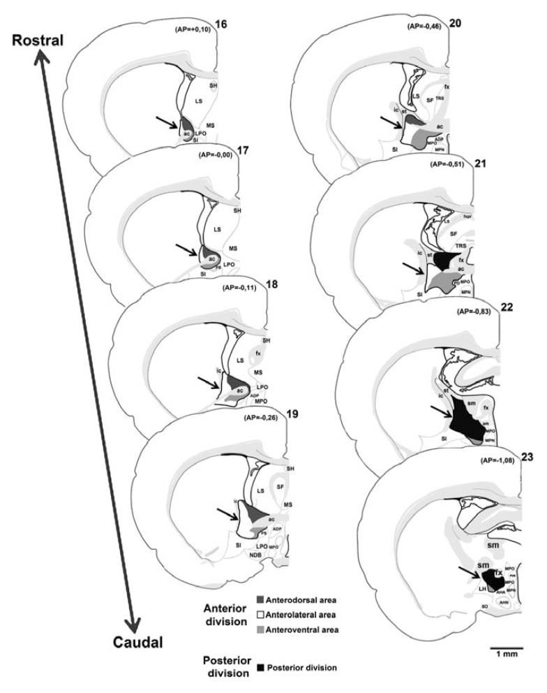 Fig. (1)