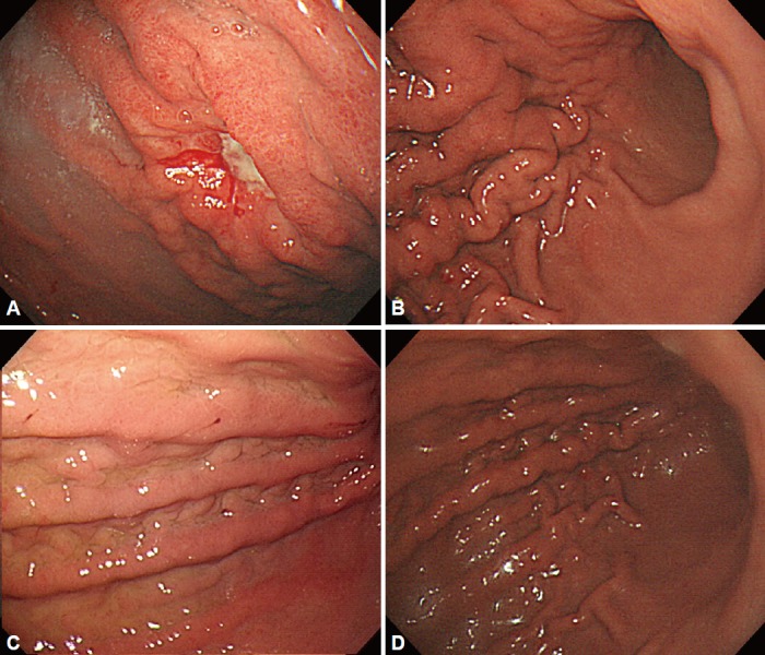 Fig. 5.