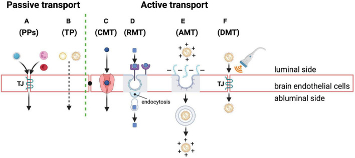 FIGURE 3