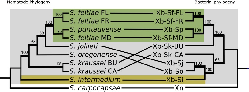 FIG 2 