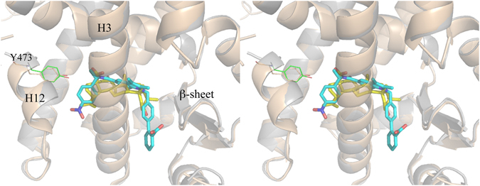 Figure 5