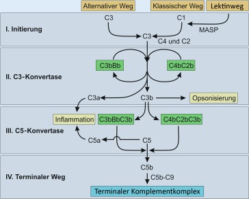 graphic file with name 63_2016_176_Fig2_HTML.jpg