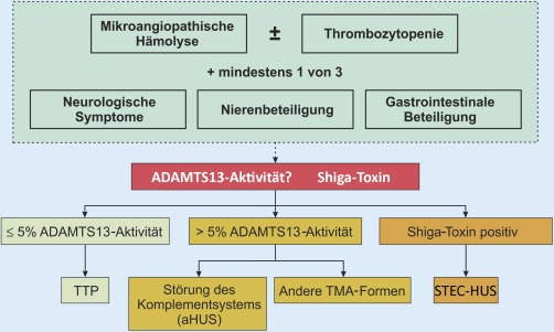 graphic file with name 63_2016_176_Fig4_HTML.jpg