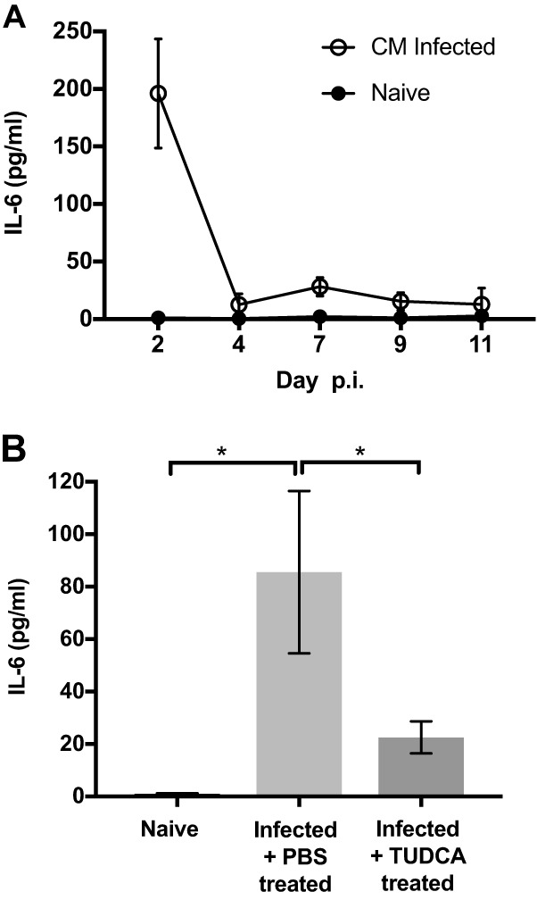 FIG 2