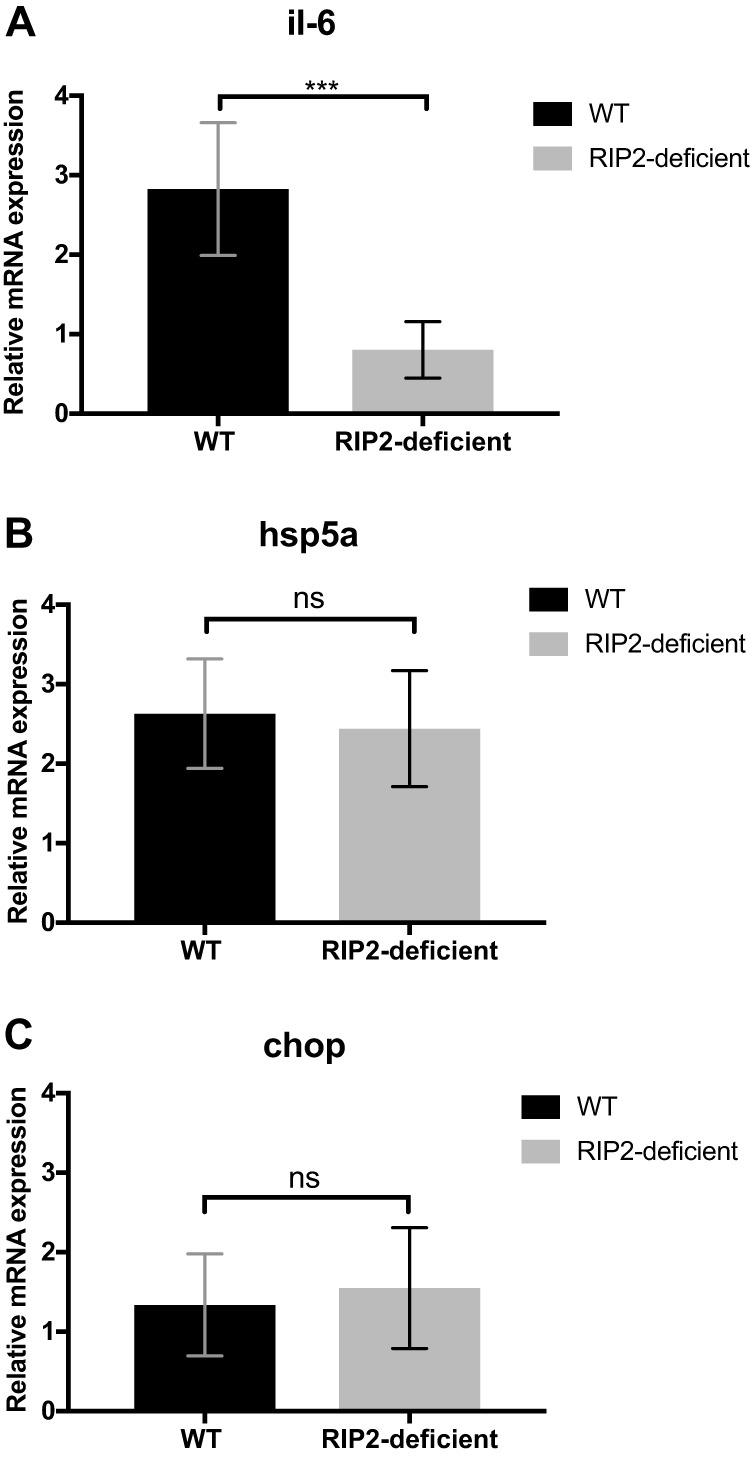 FIG 3